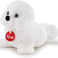 PUPPY FOCA 000