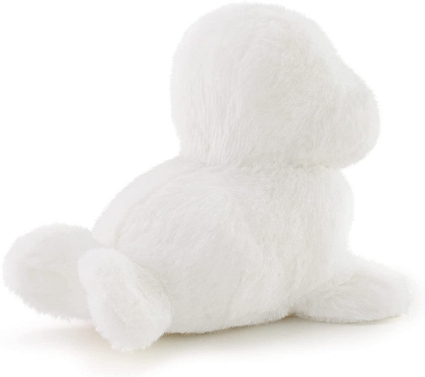 PUPPY FOCA 000