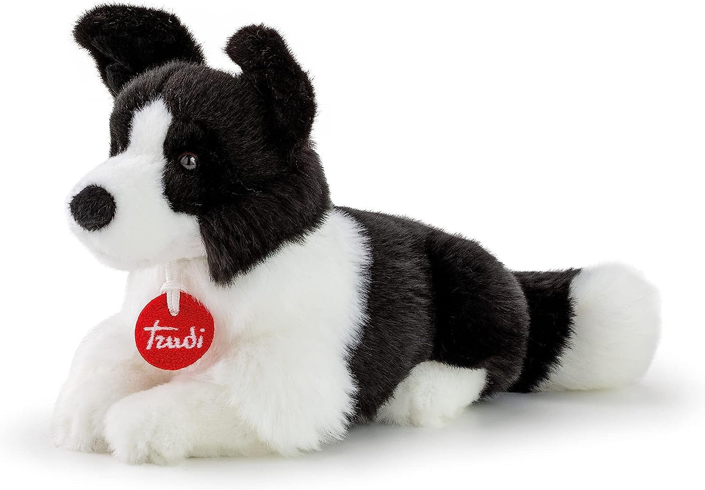 BORDIER COLLIE SC