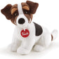 JACK RUSSEL RACK