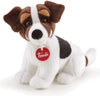 JACK RUSSEL RACK
