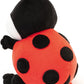 COCCINELLA MOLLY