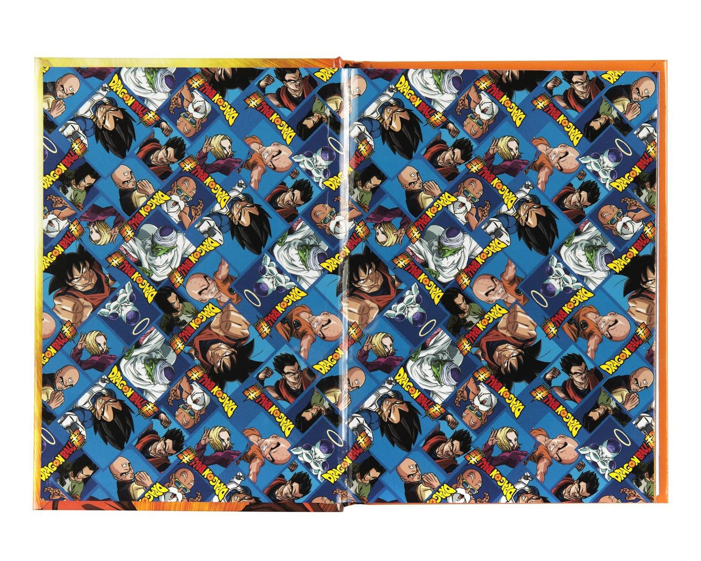DIARIO 12M STANDARD DRAGON BALL