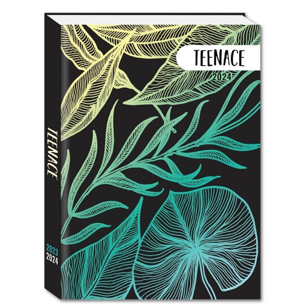 DIARIO STD 12 M TEENACE