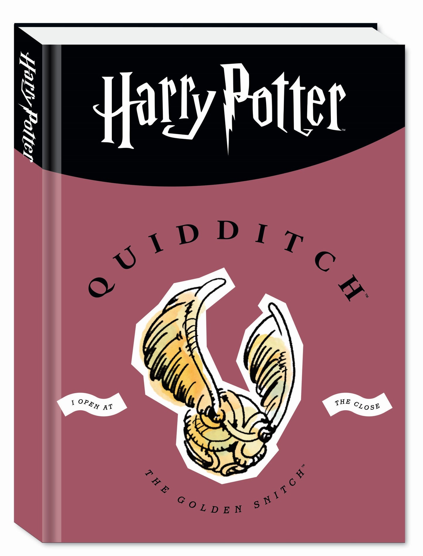 DIARIO AGENDA HARRY POTTER 10M