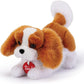 CAVALIER KING MARLEY