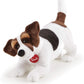 JACK RUSSEL JACK T22926