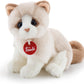 GATTINO BRAD BIANCO/BEIGE