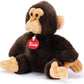 SCIMMIA BISKO T27146