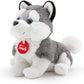 PUPPY HUSKY TUDE7000