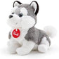 PUPPY HUSKY 19494