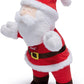 SANTA CLAUS 19534