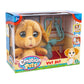 EMOTION PETS LACRIME VET SET