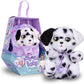BABY PAWS ASST.3