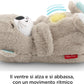 LONTRA FISCHER PRICE  RESPIRA E MUS