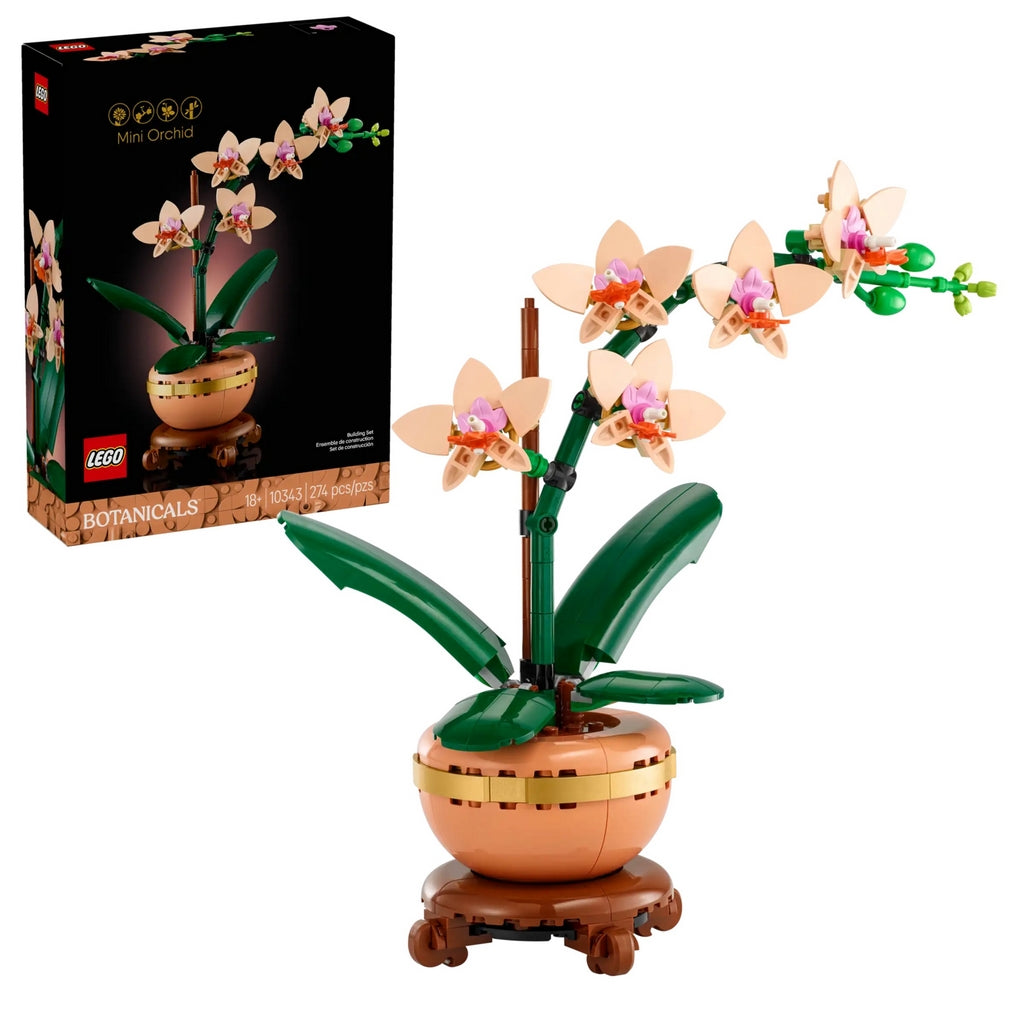MINI-ORCHIDEA LE 10343