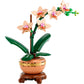 MINI-ORCHIDEA LE 10343