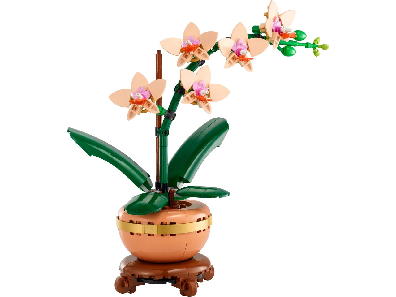 MINI-ORCHIDEA LE 10343