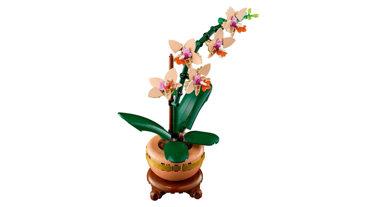 MINI-ORCHIDEA LE 10343