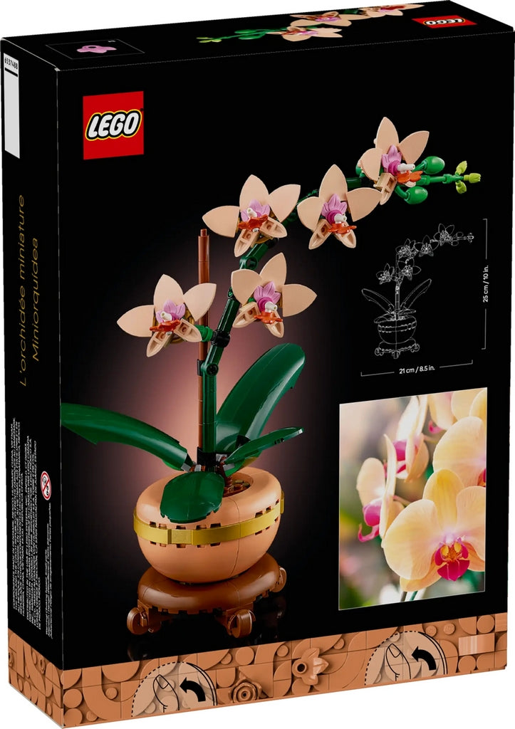 MINI-ORCHIDEA LE 10343