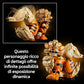 LEGO Pokémon 72160 Arcanine, Action Figure da Costruire per Adulti con Parti Snodabili, Idea Regalo per Gamer da Collezione