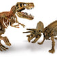 FOCUS ARCHEOGIOCANDO T-REX TRICERAT