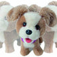 FRF CANE BOUNCY