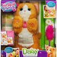 FRF REAL DAISY GATTINO