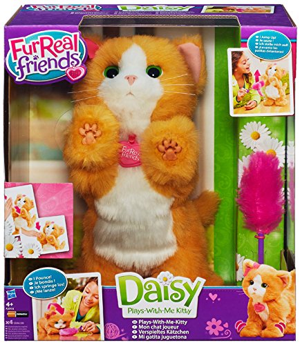 FRF REAL DAISY GATTINO