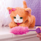 FRF REAL DAISY GATTINO