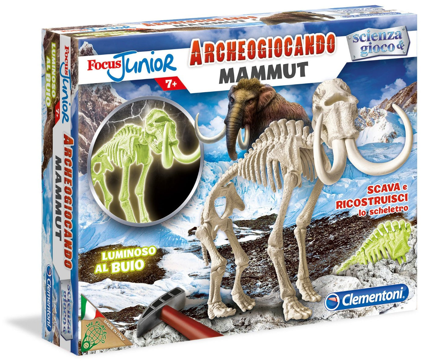 FOCUS MAMMUTH GLOW IN THE DARK