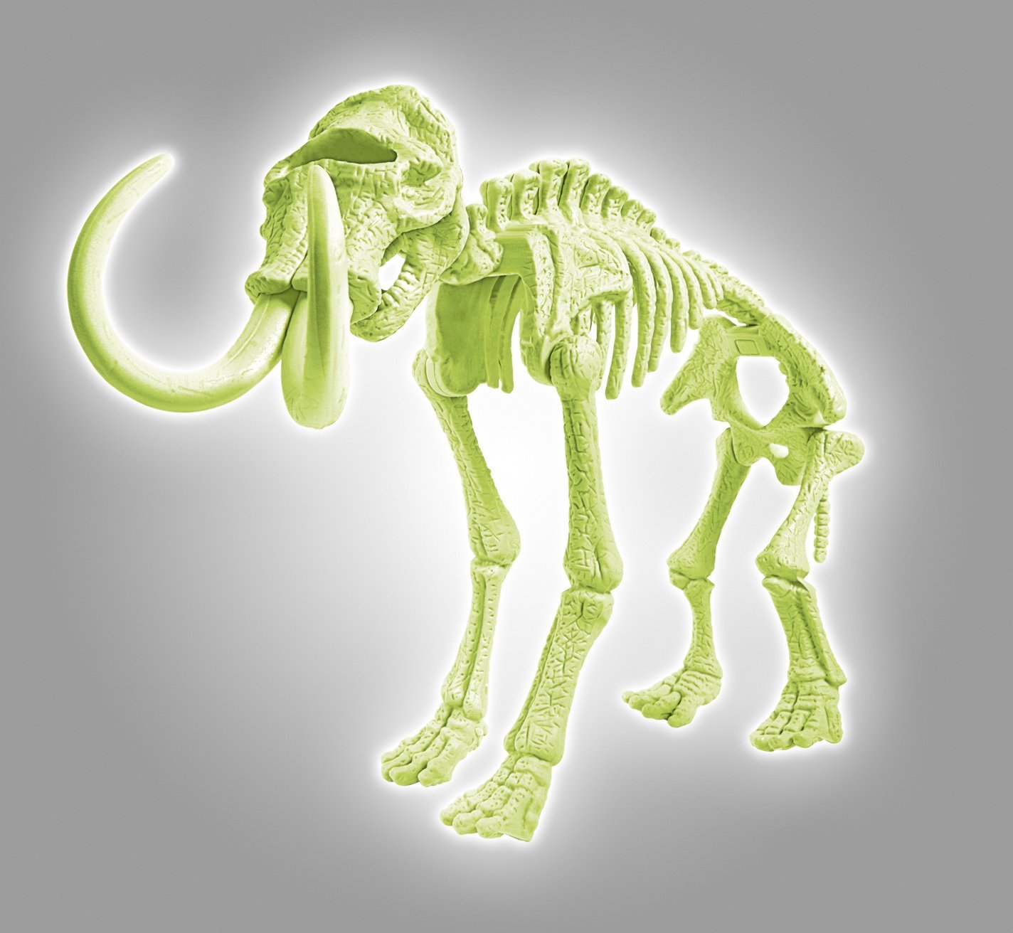 FOCUS MAMMUTH GLOW IN THE DARK
