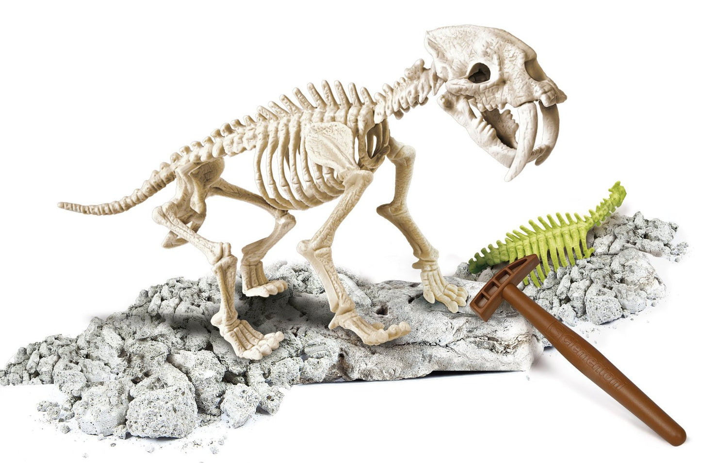 FOCUS SMILODON GLOW IN THE DARK