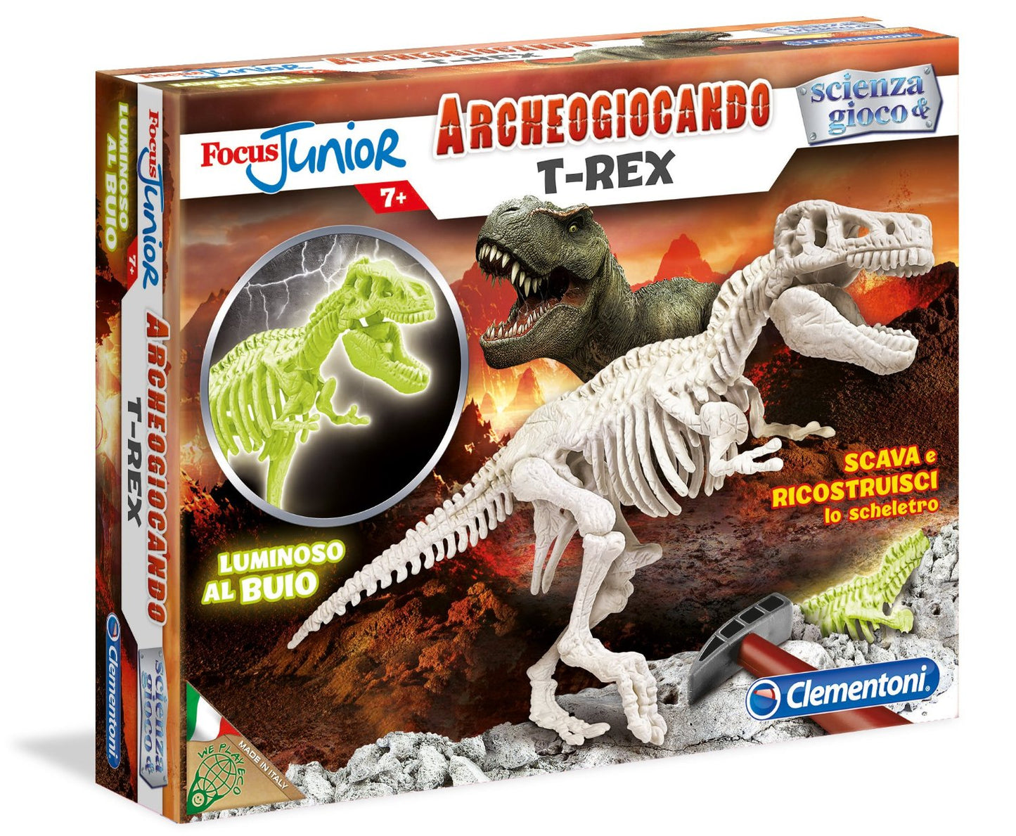 FOCUS T-REX GLOW IN THE DARK