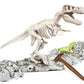 FOCUS T-REX GLOW IN THE DARK