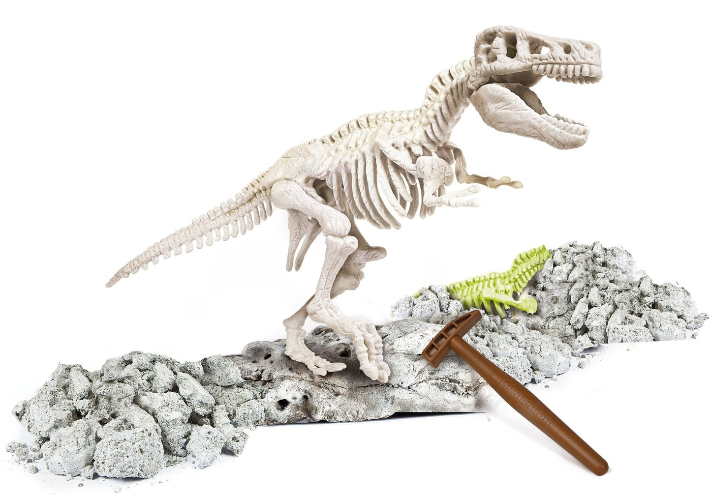 FOCUS T-REX GLOW IN THE DARK