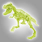 FOCUS T-REX GLOW IN THE DARK