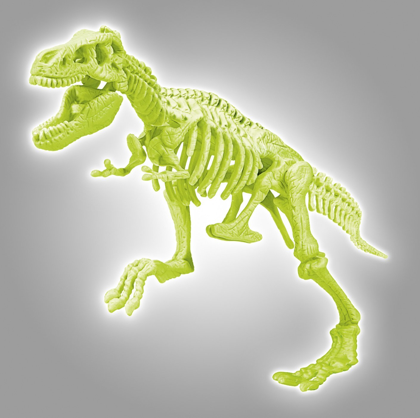 FOCUS T-REX GLOW IN THE DARK