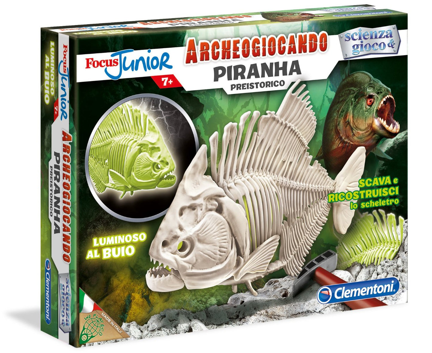 FOCUS JUNIOR PIRANHA GLOW IN THE DA