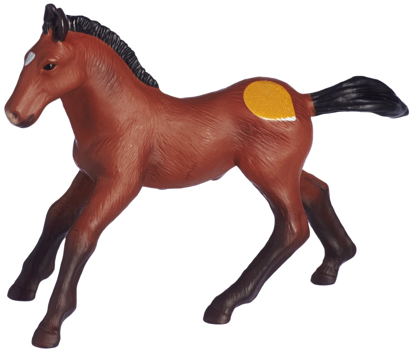 PULEDRO ANDALUSO M TIPTOI