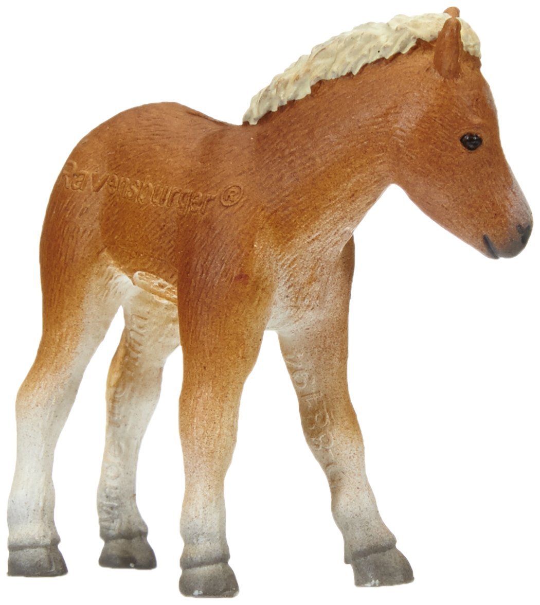 FALABELLA PULEDRO S TIPTOI