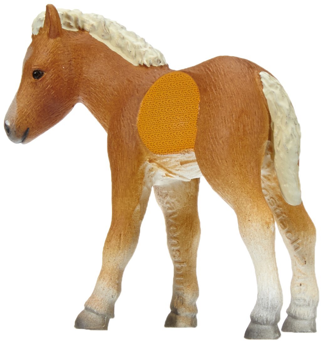 FALABELLA PULEDRO S TIPTOI