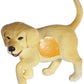 GOLDEN RETRIEVER CUCCIOLO S TIPTOI