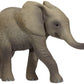 CUCCIOLO ELEFANTE AGIFRI.M TIPTOI