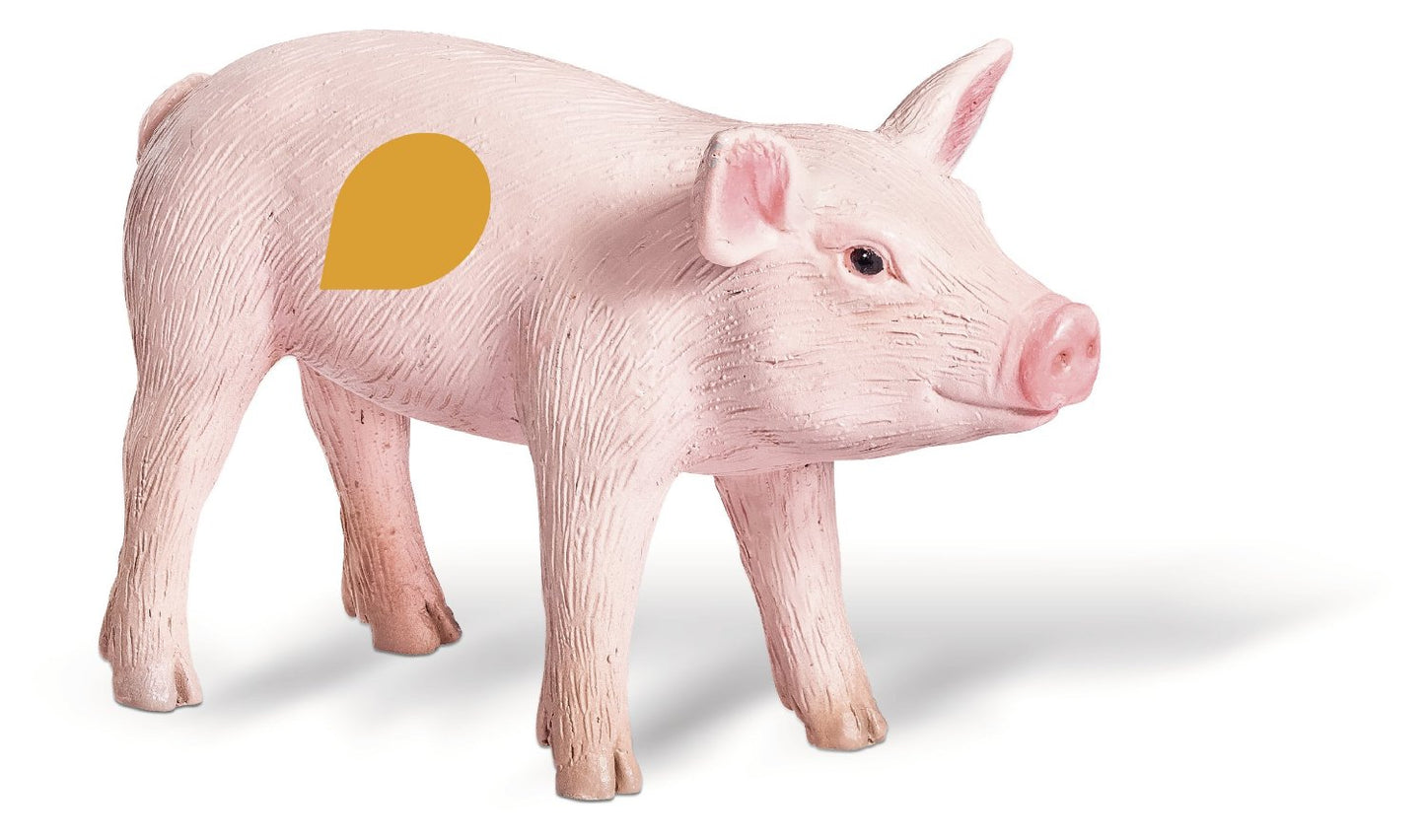 MAIALINO S TIPTOI