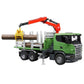 SCANIA R-SERIES TRASPORTO TRONCHI