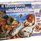 LABORATORIO DEI FOSSILI