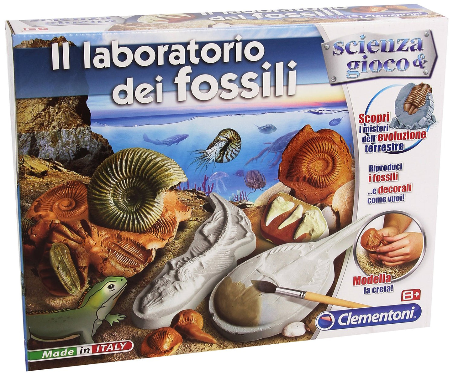 LABORATORIO DEI FOSSILI