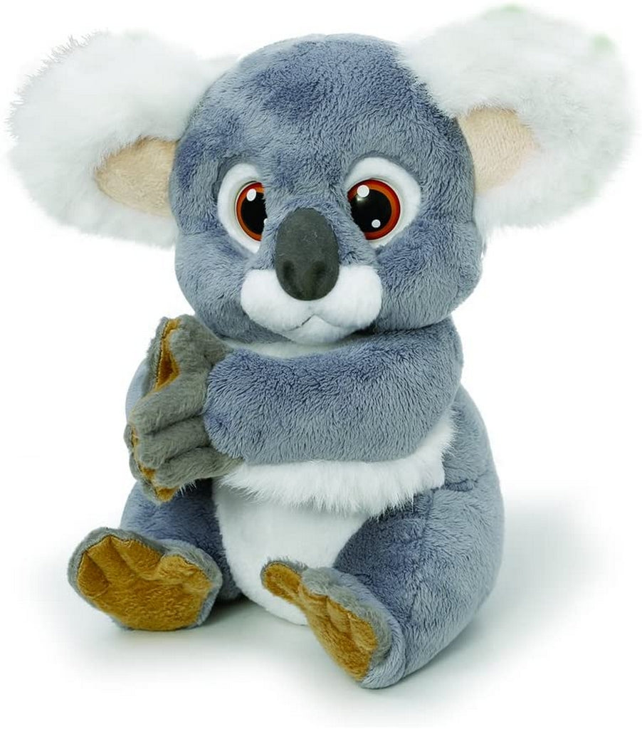 LIPTO - IL KOALA PLAYFULS