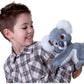 LIPTO - IL KOALA PLAYFULS